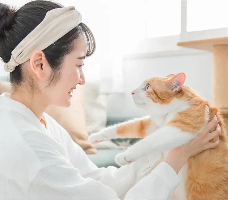 ビー・エイド中西のイメージ写真